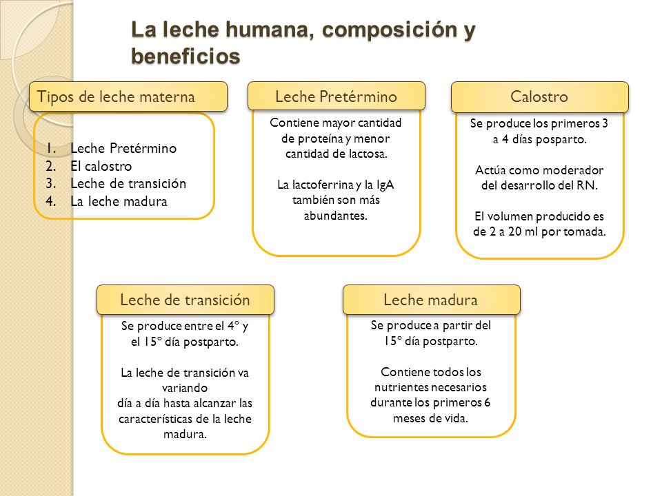 Tipos de leche materna oms